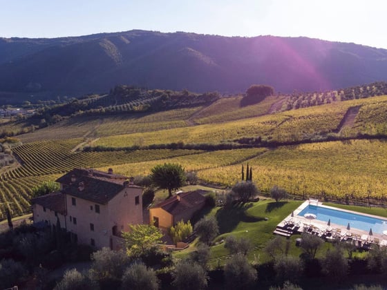 Villas in Vineyards in Italy