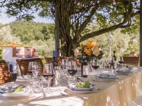 Italian Villas for Fourteen