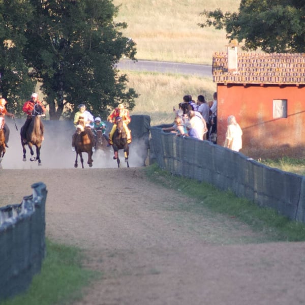 Casole Palio