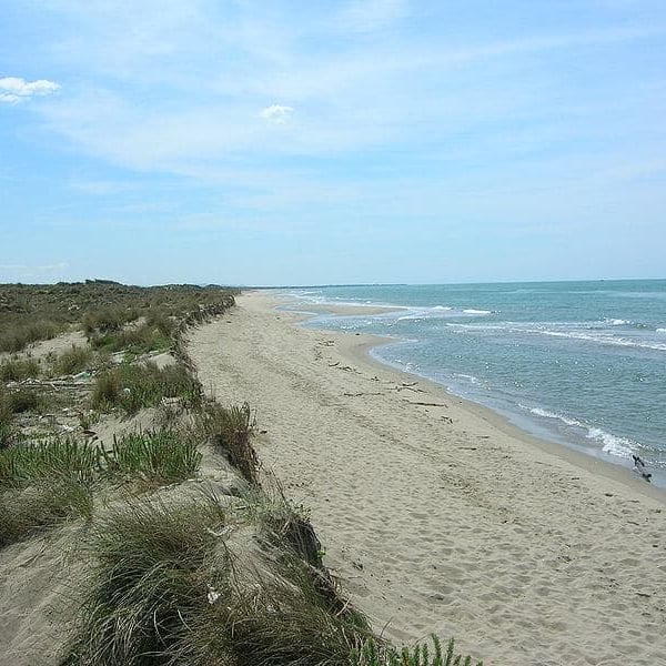 The coast is nearby