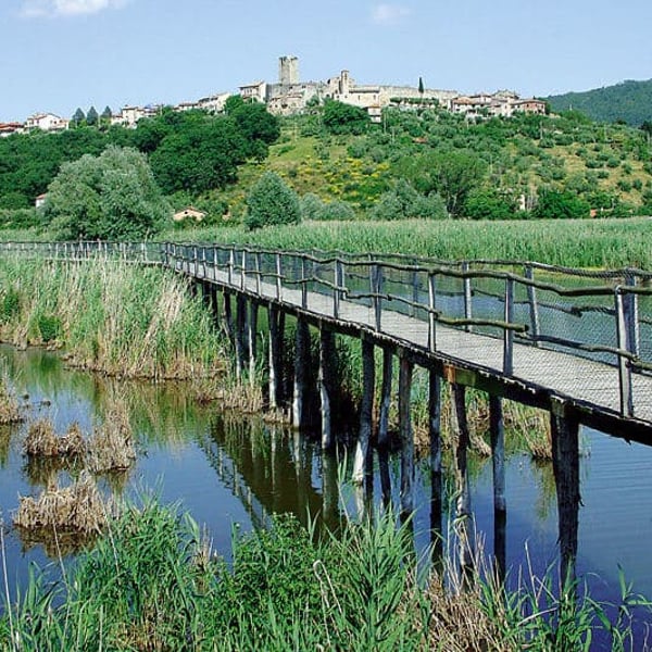 Lake Trasimeno