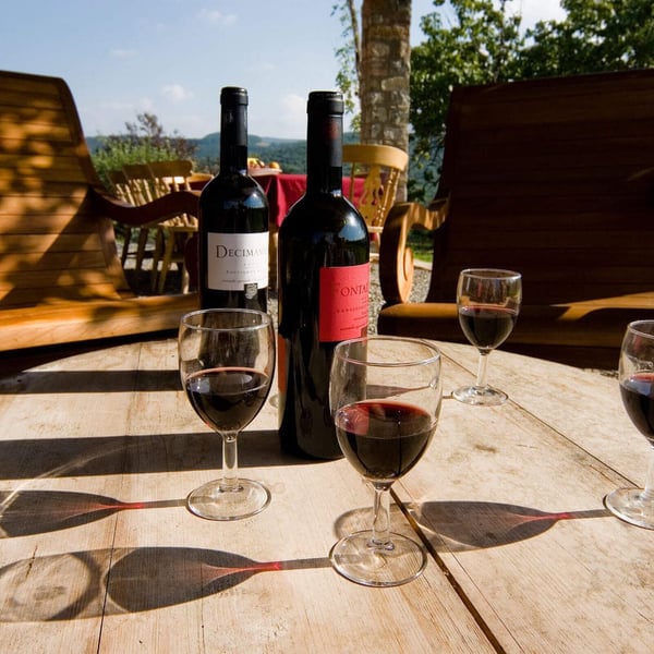 Wine tasting abounds