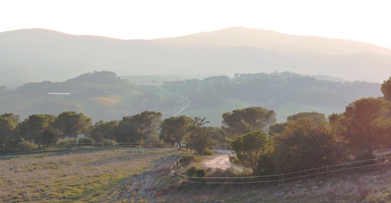 casole-strada-bianca