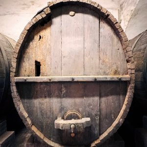 Torri wine cellars