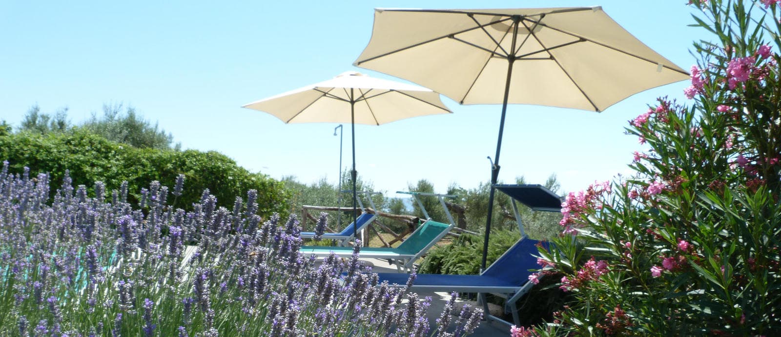 Villas near Lake Trasimeno