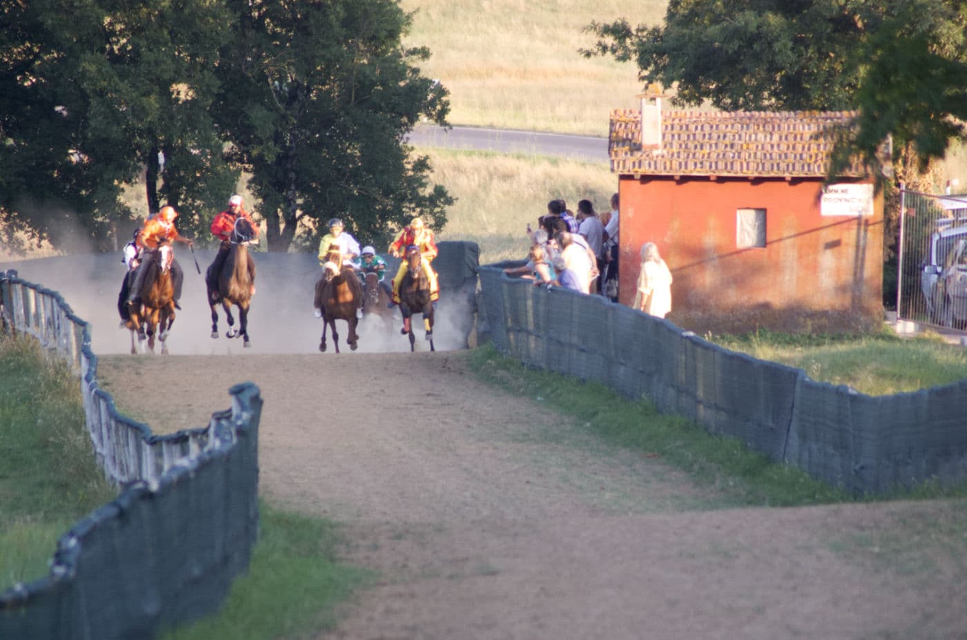 casole-palio-02
