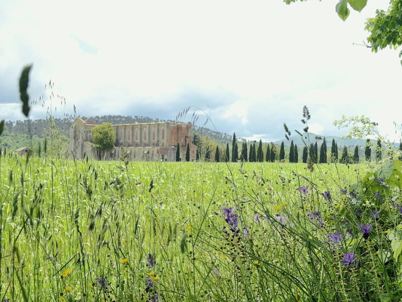 The ruins of the Abbey in Tuscany The ruins of the Abbey in Tuscany