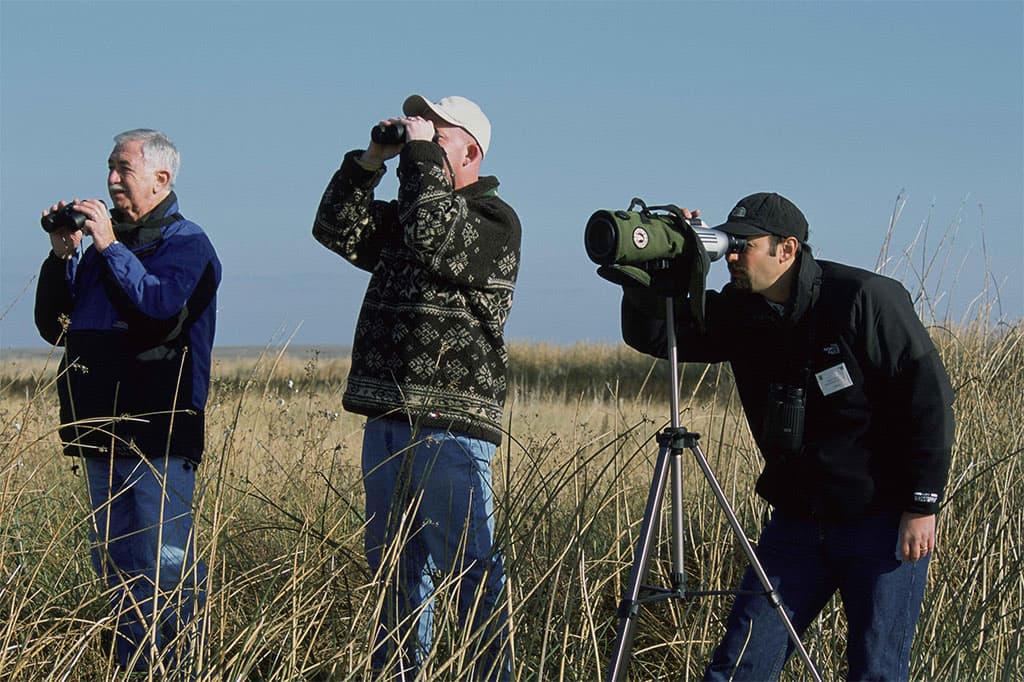 Bird-watching in Buriano Nature Reserve birdwatching-buriano