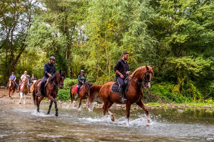 Horse riding in Casentino horse-riding-arezzo