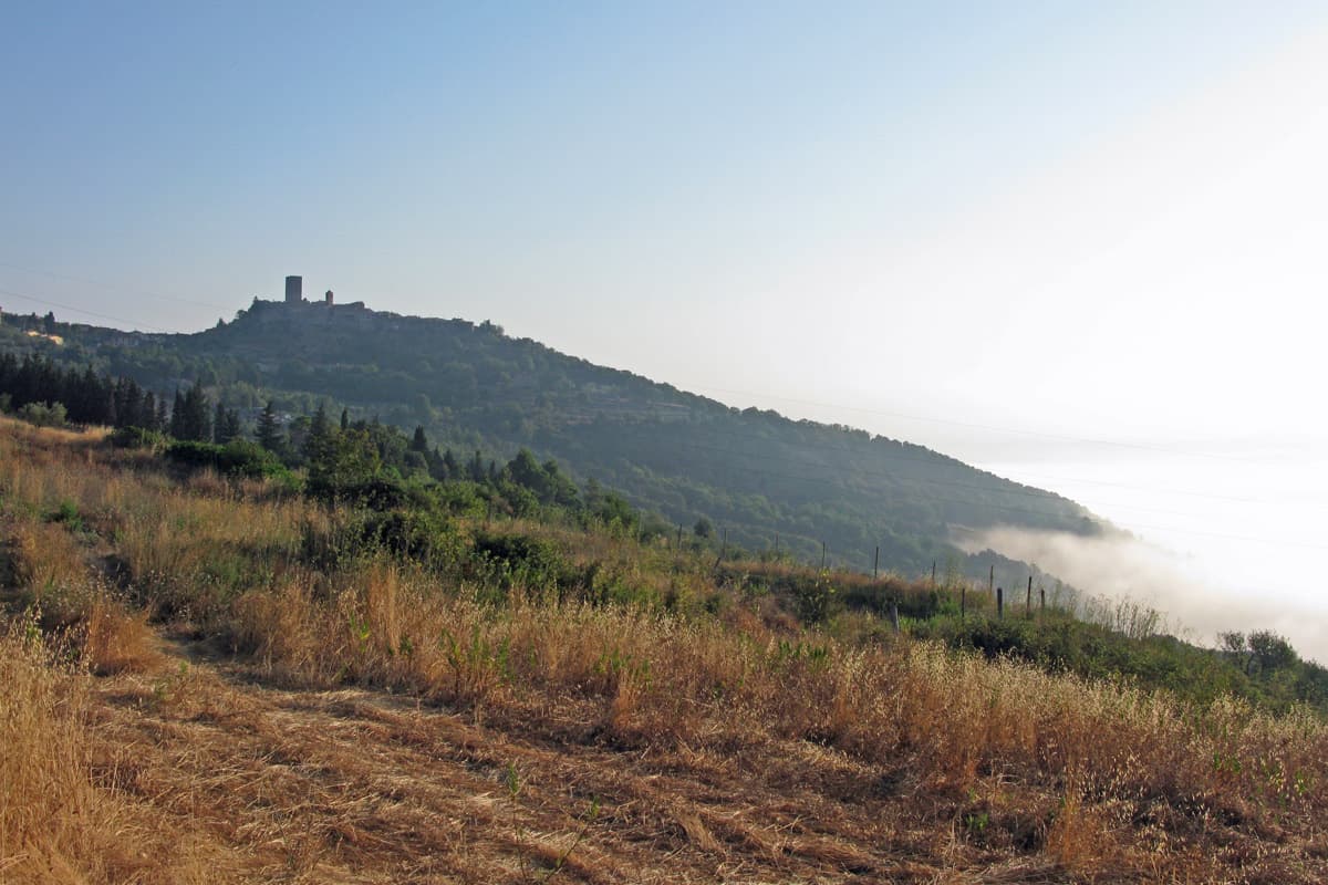 Montecatini val di Cecina is always recognisable by its distinctive profile, marked by the high lookout tower in the centre of the village. Outline