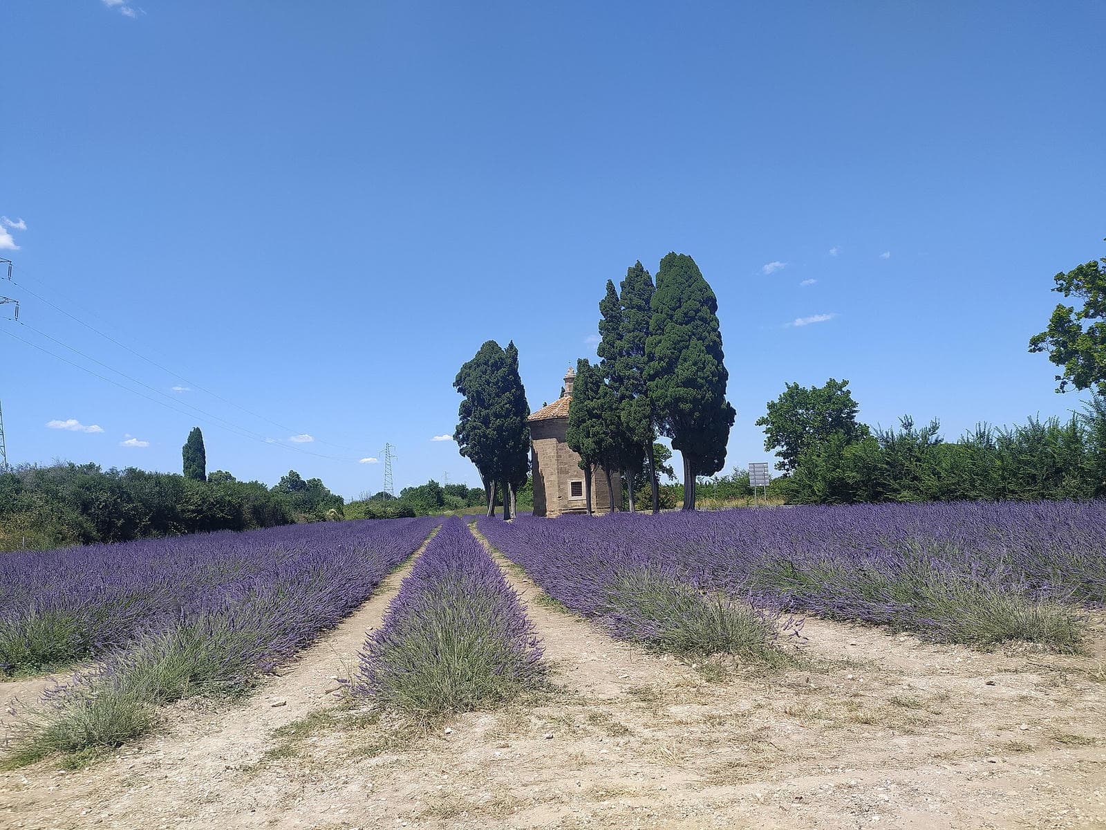 The oratory of San Guido looking very Provencal surrounded by lavender. Photo by Pmk58, via Wikimedia Commons San_Guido_in_Lavanda