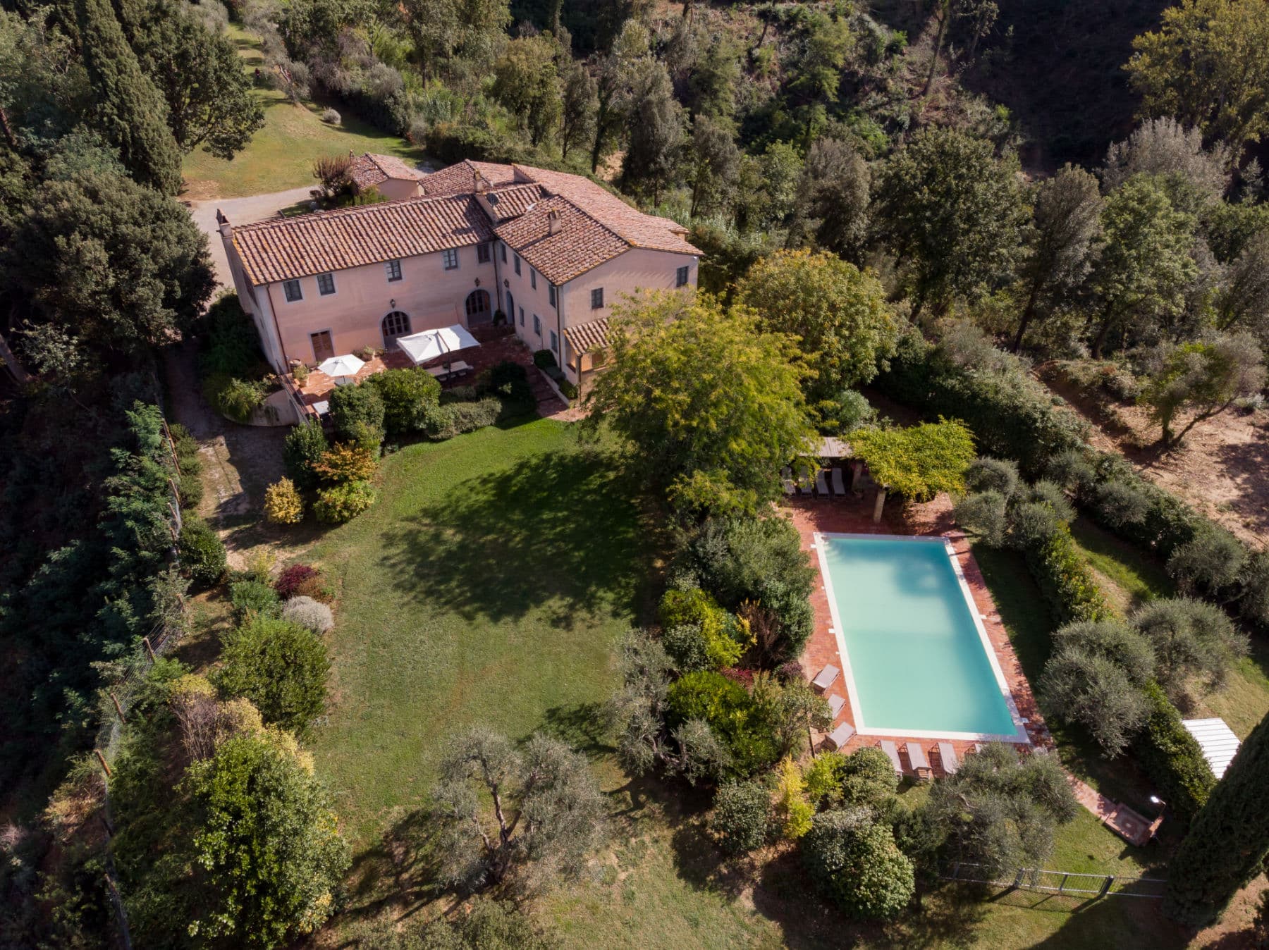 Leccio-aerial-close