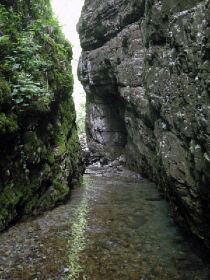 orrido_botri