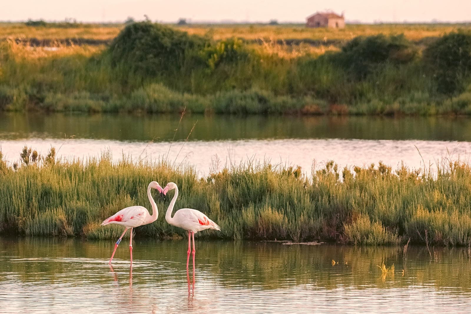 Birdwatching in Tuscany and Umbria