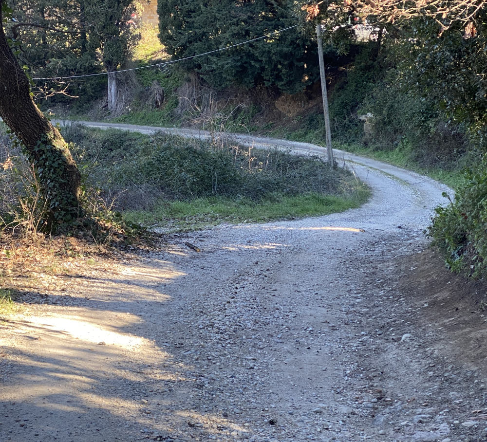 Video of a bike ride in Berignone Sterro Casole