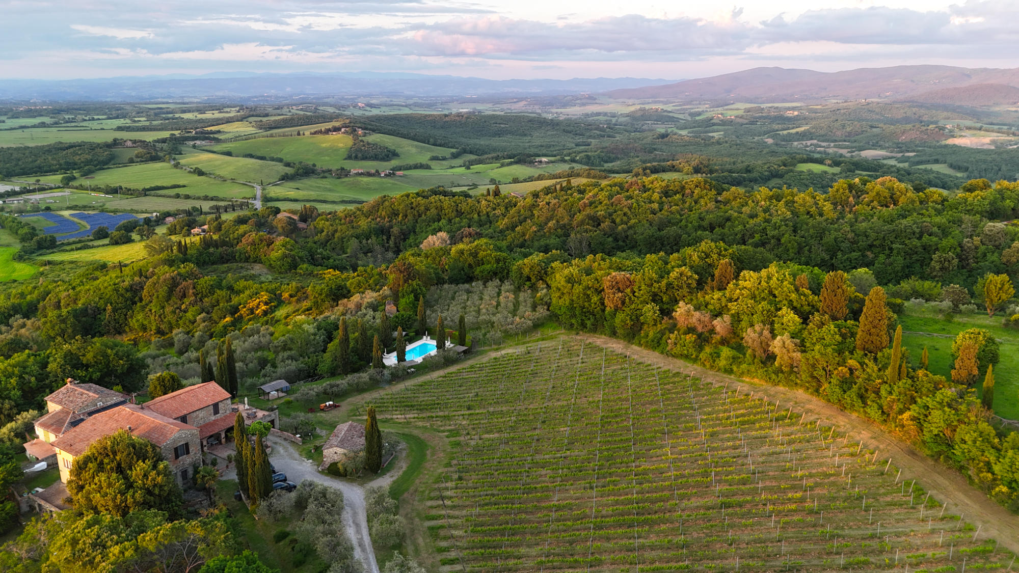 Noce is surrounded by vineyards Noce Cottage